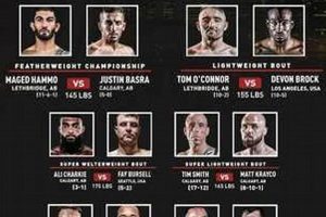 The Future of Unified MMA Rules & Regulations | Ultimate Guide to MMA: Training, Techniques, and Top Fighters in The World