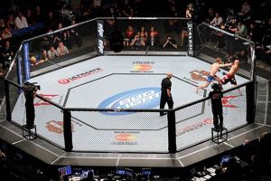 Ultimate MMA Cages: Guide & Safety | Ultimate Guide to MMA: Training, Techniques, and Top Fighters in The World