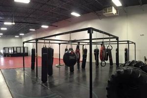 Unleash Your Drive: MMA Training & Motivation Ultimate Guide to MMA: Training, Techniques, and Top Fighters in The World Unleash Your Drive: MMA Training & Motivation | Ultimate Guide to MMA: Training, Techniques, and Top Fighters in The World