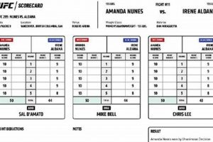 Latest MMA Test Results & Updates | Ultimate Guide to MMA: Training, Techniques, and Top Fighters in The World