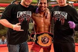 Carnicella Mma | Ultimate Guide to MMA: Training, Techniques, and Top Fighters in The World