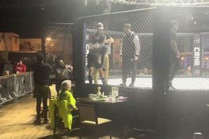 Top USFL to MMA Fighters: Skills & Transitions Ultimate Guide to MMA: Training, Techniques, and Top Fighters in The World Top USFL to MMA Fighters: Skills & Transitions | Ultimate Guide to MMA: Training, Techniques, and Top Fighters in The World