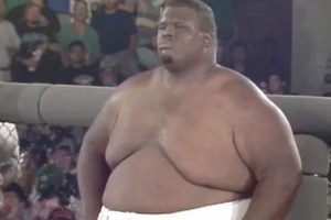 Top 10 Heaviest MMA Fighters Ever | Ultimate Guide to MMA: Training, Techniques, and Top Fighters in The World