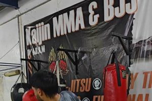 The Ultimate Guide to Kaijin MMA Training | Ultimate Guide to MMA: Training, Techniques, and Top Fighters in The World