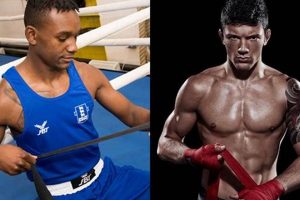 Is MMA Truly Safer Than Boxing? A Critical Look | Ultimate Guide to MMA: Training, Techniques, and Top Fighters in The World