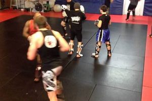 Top MMA Gyms & Training in Rocky Point, AZ | Ultimate Guide to MMA: Training, Techniques, and Top Fighters in The World