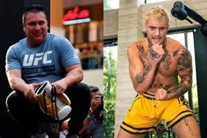 The Javier Mendez MMA System: A Champion's Guide | Ultimate Guide to MMA: Training, Techniques, and Top Fighters in The World