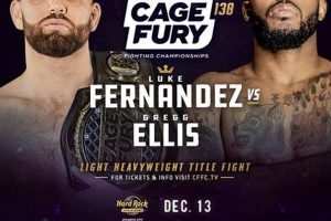 Ultimate 138 MMA Fight Guide | Ultimate Guide to MMA: Training, Techniques, and Top Fighters in The World