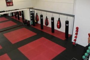 Ultimate Guide to Top Level MMA Training | Ultimate Guide to MMA: Training, Techniques, and Top Fighters in The World