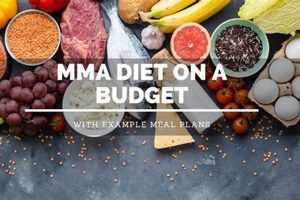Ultimate MMA Diet Plan & Guide for Fighters | Ultimate Guide to MMA: Training, Techniques, and Top Fighters in The World