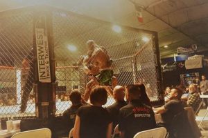 Best MMA Gyms & Training in Utah | Ultimate Guide to MMA: Training, Techniques, and Top Fighters in The World