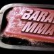 Barata Mma | Ultimate Guide to MMA: Training, Techniques, and Top Fighters in The World
