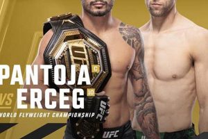 Preview: MMA UFC 301 Fight Card and Predictions | Ultimate Guide to MMA: Training, Techniques, and Top Fighters in The World