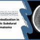 MMA Embolization for Subdural Hematoma Treatment | Ultimate Guide to MMA: Training, Techniques, and Top Fighters in The World