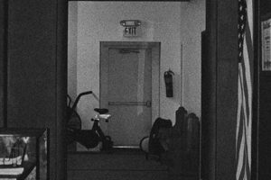 Official Pridelands MMA: Unleash Your Inner Lion | Ultimate Guide to MMA: Training, Techniques, and Top Fighters in The World