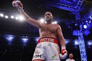 Will Tyson Fury Conquer MMA? | Ultimate Guide to MMA: Training, Techniques, and Top Fighters in The World