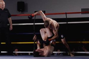 Best MMA Gyms & Training Near Addison Circle | Ultimate Guide to MMA: Training, Techniques, and Top Fighters in The World