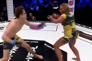 Mixed Gender Mma | Ultimate Guide to MMA: Training, Techniques, and Top Fighters in The World