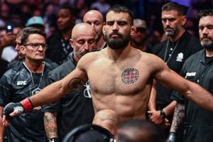 Ultimate Combat MMA Training Guide | Ultimate Guide to MMA: Training, Techniques, and Top Fighters in The World
