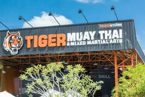 Train MMA at Tiger Muay Thai, Phuket | Ultimate Guide to MMA: Training, Techniques, and Top Fighters in The World