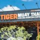Train MMA at Tiger Muay Thai, Phuket | Ultimate Guide to MMA: Training, Techniques, and Top Fighters in The World