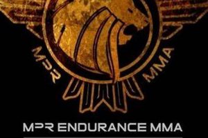 Mpr Endurance Mma | Ultimate Guide to MMA: Training, Techniques, and Top Fighters in The World