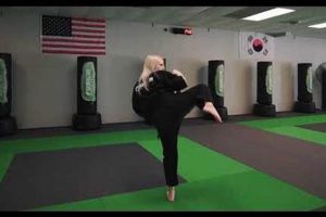 Best MMA Gyms & Training in Bloomington IL | Ultimate Guide to MMA: Training, Techniques, and Top Fighters in The World