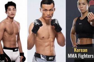 Top Korean MMA Fighters: Rising Stars & Legends Ultimate Guide to MMA: Training, Techniques, and Top Fighters in The World Top Korean MMA Fighters: Rising Stars & Legends | Ultimate Guide to MMA: Training, Techniques, and Top Fighters in The World
