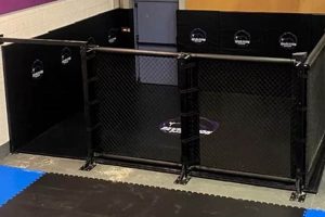 Ultimate Cages MMA: Fighter's Guide | Ultimate Guide to MMA: Training, Techniques, and Top Fighters in The World