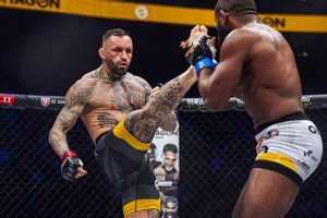 Mma Stram Ultimate Guide to MMA: Training, Techniques, and Top Fighters in The World Mma Stram | Ultimate Guide to MMA: Training, Techniques, and Top Fighters in The World