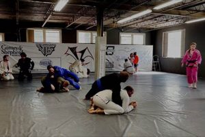 Enhance Vision: MMA Oakley Eyewear for Fighters | Ultimate Guide to MMA: Training, Techniques, and Top Fighters in The World