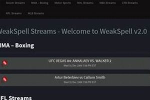 Overcoming a Weak Spell in MMA Fighting Ultimate Guide to MMA: Training, Techniques, and Top Fighters in The World Overcoming a Weak Spell in MMA Fighting | Ultimate Guide to MMA: Training, Techniques, and Top Fighters in The World