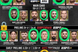 My MMA Journey: Personalized Training & Tips | Ultimate Guide to MMA: Training, Techniques, and Top Fighters in The World