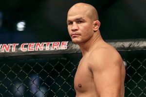 Top Dos Santos MMA Fighters: Skills & Legacy | Ultimate Guide to MMA: Training, Techniques, and Top Fighters in The World