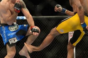 Gruesome MMA Fighter Leg Break: Injury & Recovery Ultimate Guide to MMA: Training, Techniques, and Top Fighters in The World Gruesome MMA Fighter Leg Break: Injury & Recovery | Ultimate Guide to MMA: Training, Techniques, and Top Fighters in The World