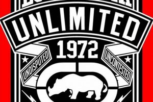 The Ultimate Guide to Ecko MMA Gear & Apparel | Ultimate Guide to MMA: Training, Techniques, and Top Fighters in The World