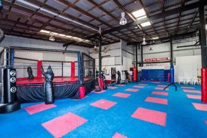 Top Club MMA Mixed Martial Arts Gyms | Ultimate Guide to MMA: Training, Techniques, and Top Fighters in The World