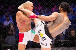 Top MMA Fights & Training in Phoenix, AZ | Ultimate Guide to MMA: Training, Techniques, and Top Fighters in The World