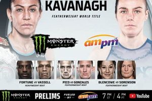 Tonight's Bellator MMA Fight Card & Results | Ultimate Guide to MMA: Training, Techniques, and Top Fighters in The World