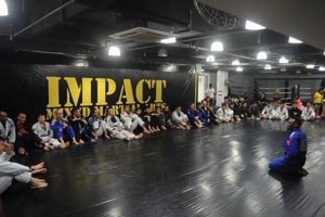 Discover Impact MMA Singapore: Gyms & Training | Ultimate Guide to MMA: Training, Techniques, and Top Fighters in The World