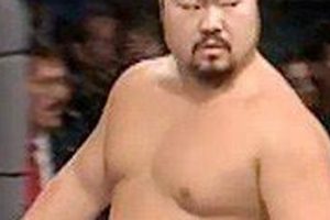 The Joe Son MMA Incident: A Cautionary Tale Ultimate Guide to MMA: Training, Techniques, and Top Fighters in The World The Joe Son MMA Incident: A Cautionary Tale | Ultimate Guide to MMA: Training, Techniques, and Top Fighters in The World