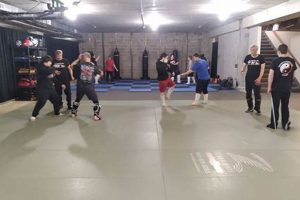 Best Cambridge MMA Gyms & Training | Ultimate Guide to MMA: Training, Techniques, and Top Fighters in The World