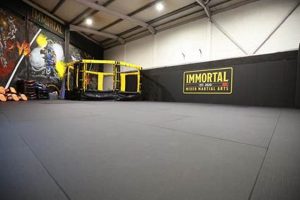 Become Immortal: MMA Training & Techniques | Ultimate Guide to MMA: Training, Techniques, and Top Fighters in The World