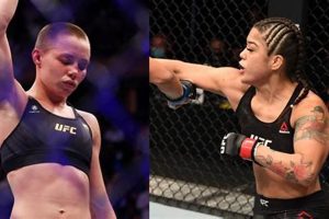 Top MMA Gyms & Training in Denver, Colorado Ultimate Guide to MMA: Training, Techniques, and Top Fighters in The World Top MMA Gyms & Training in Denver, Colorado | Ultimate Guide to MMA: Training, Techniques, and Top Fighters in The World