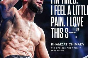 Best MMA Quotes: Inspiring & Motivational | Ultimate Guide to MMA: Training, Techniques, and Top Fighters in The World