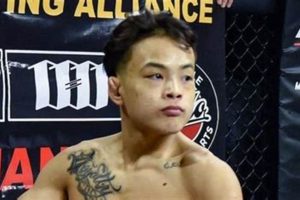 Vietnamese Mothers (An Tuan Ho Mma) in MMA | Ultimate Guide to MMA: Training, Techniques, and Top Fighters in The World