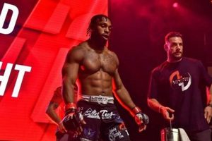 The Rise of David Wright in MMA Fighting | Ultimate Guide to MMA: Training, Techniques, and Top Fighters in The World