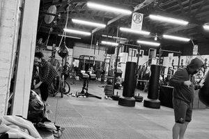 Top MMA Schools in Los Angeles: Find Your Gym | Ultimate Guide to MMA: Training, Techniques, and Top Fighters in The World