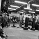 Top MMA Schools in Los Angeles: Find Your Gym | Ultimate Guide to MMA: Training, Techniques, and Top Fighters in The World