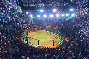 Watch MMA: Streamcloud Alternatives & Legal Streams | Ultimate Guide to MMA: Training, Techniques, and Top Fighters in The World